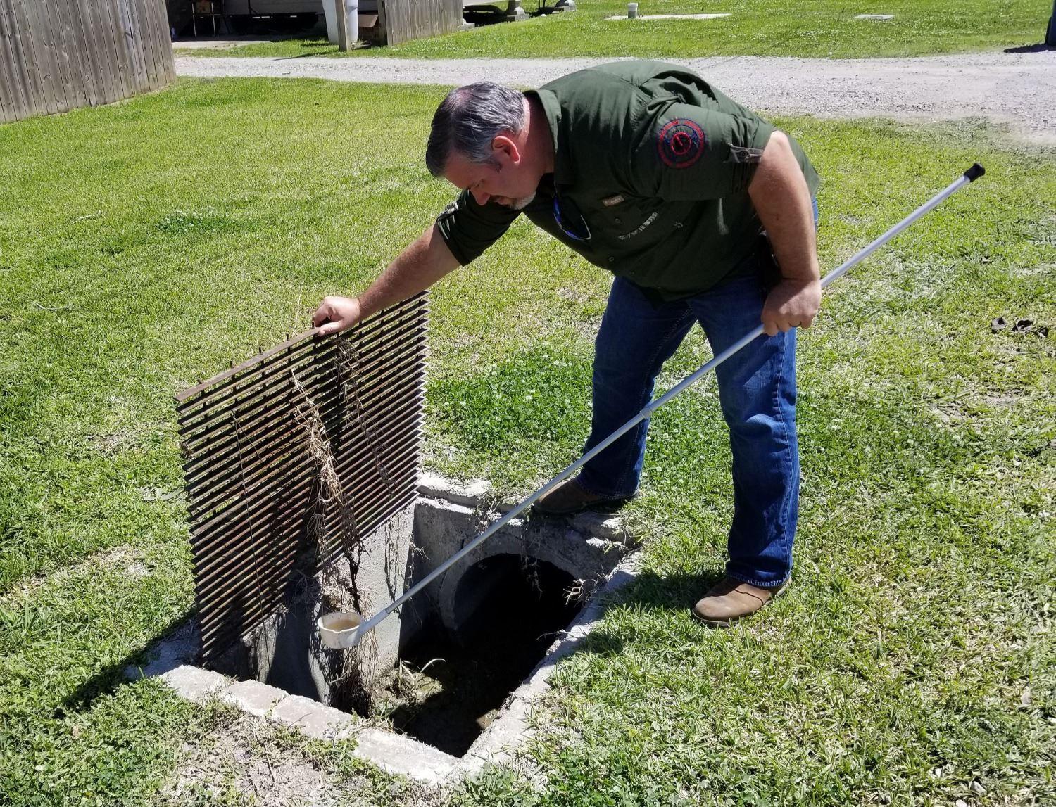 mosquito specialist dipping for mosquito larvae